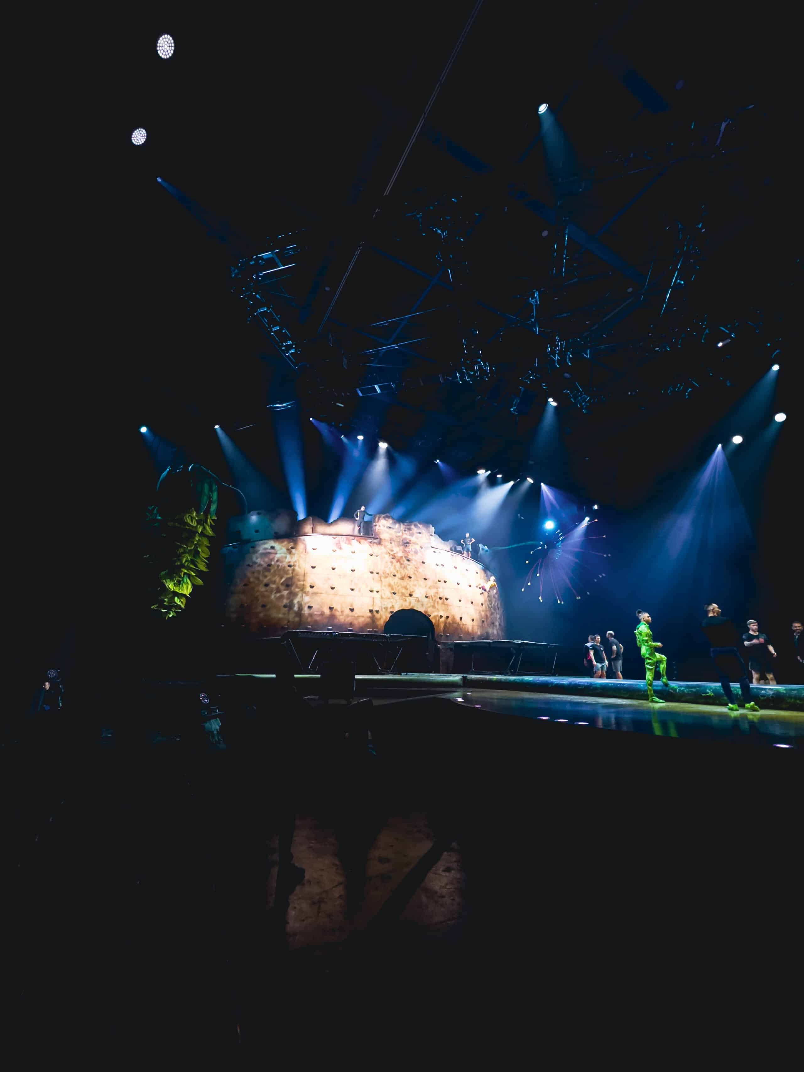 DANS LES COULISSES DU SPECTACLE OVO par LE CIRQUE DU SOLEIL