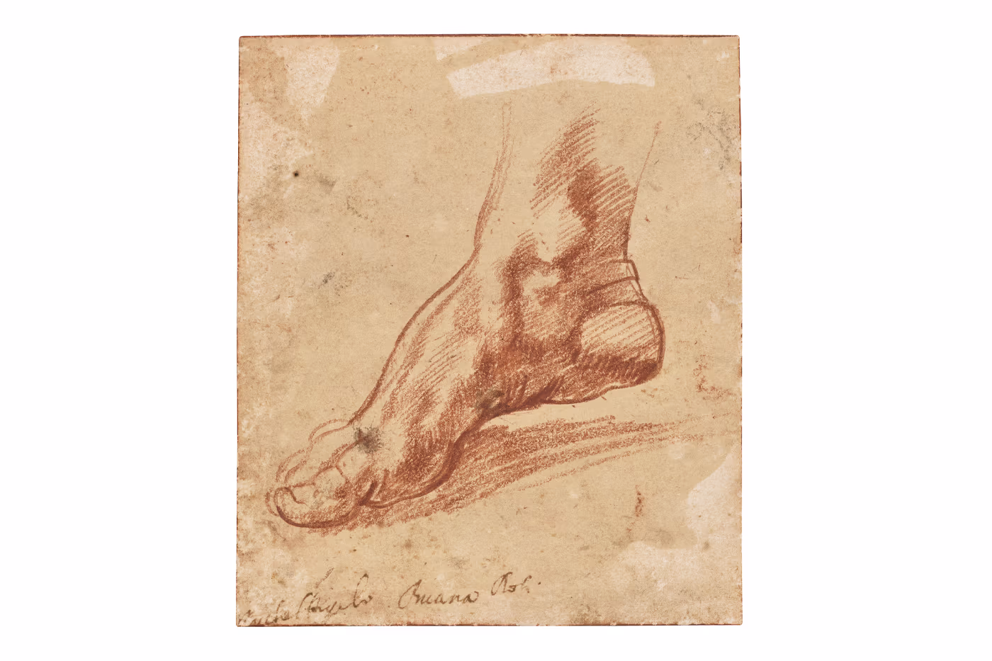 Un dessin inédit de Michelangelo adjugé 27,2 millions de dollars chez Christie’s