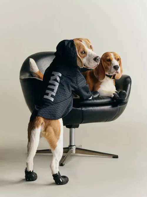 Kith se lance dans les accessoires pour chiens avec une première collection premium signée Wagwear
