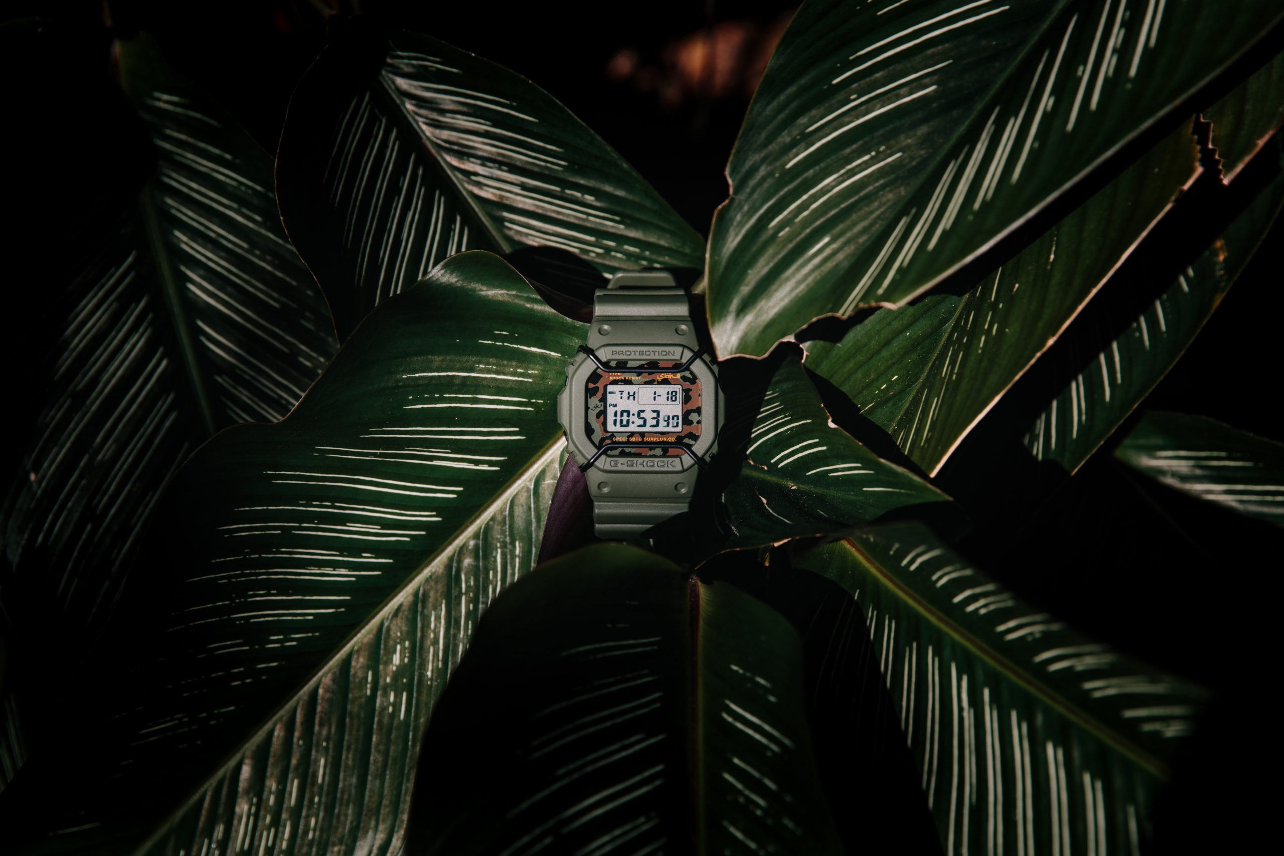G-SHOCK x SBTG DW-5600