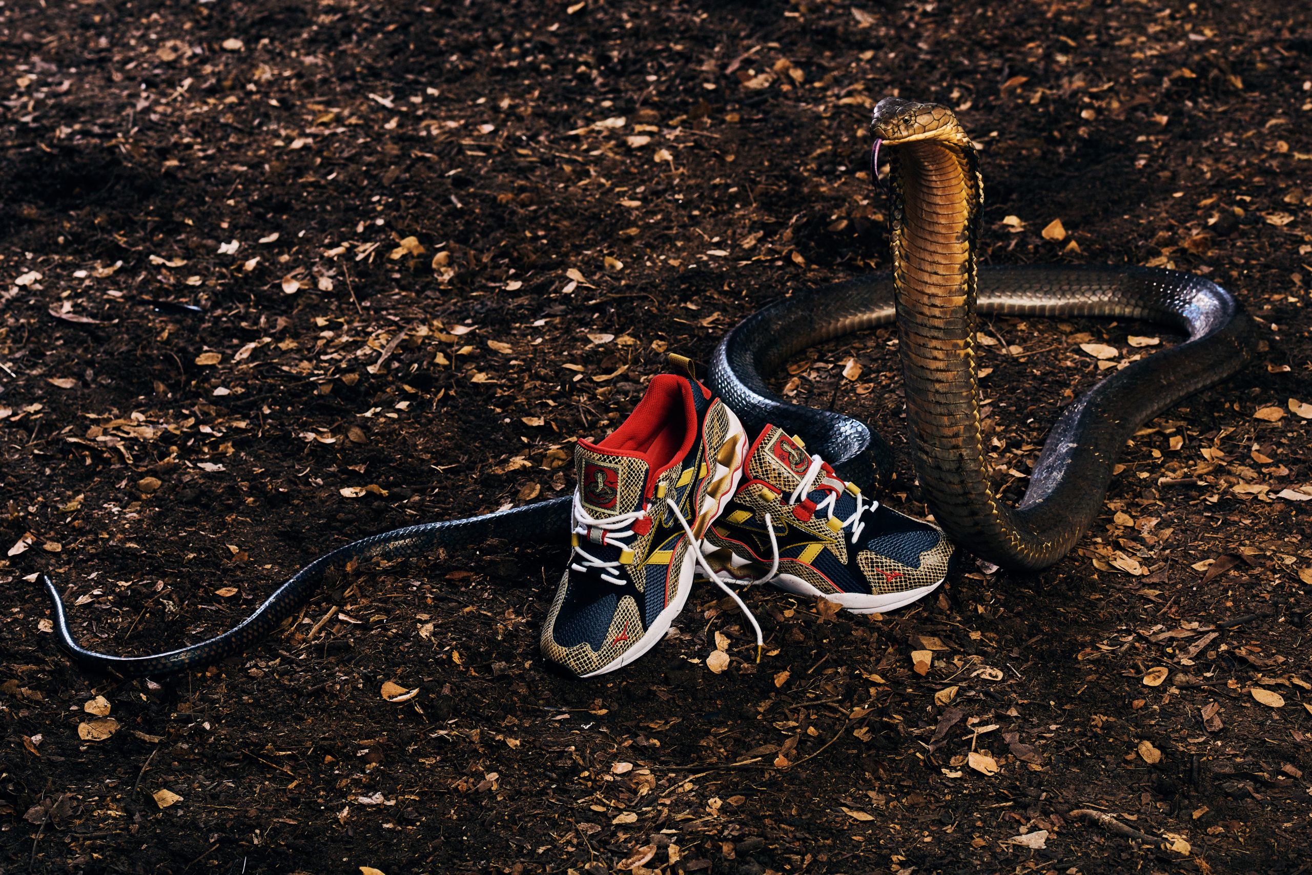 24 KILATES X MIZUNO WAVE RIDER I "KING KOBRA"