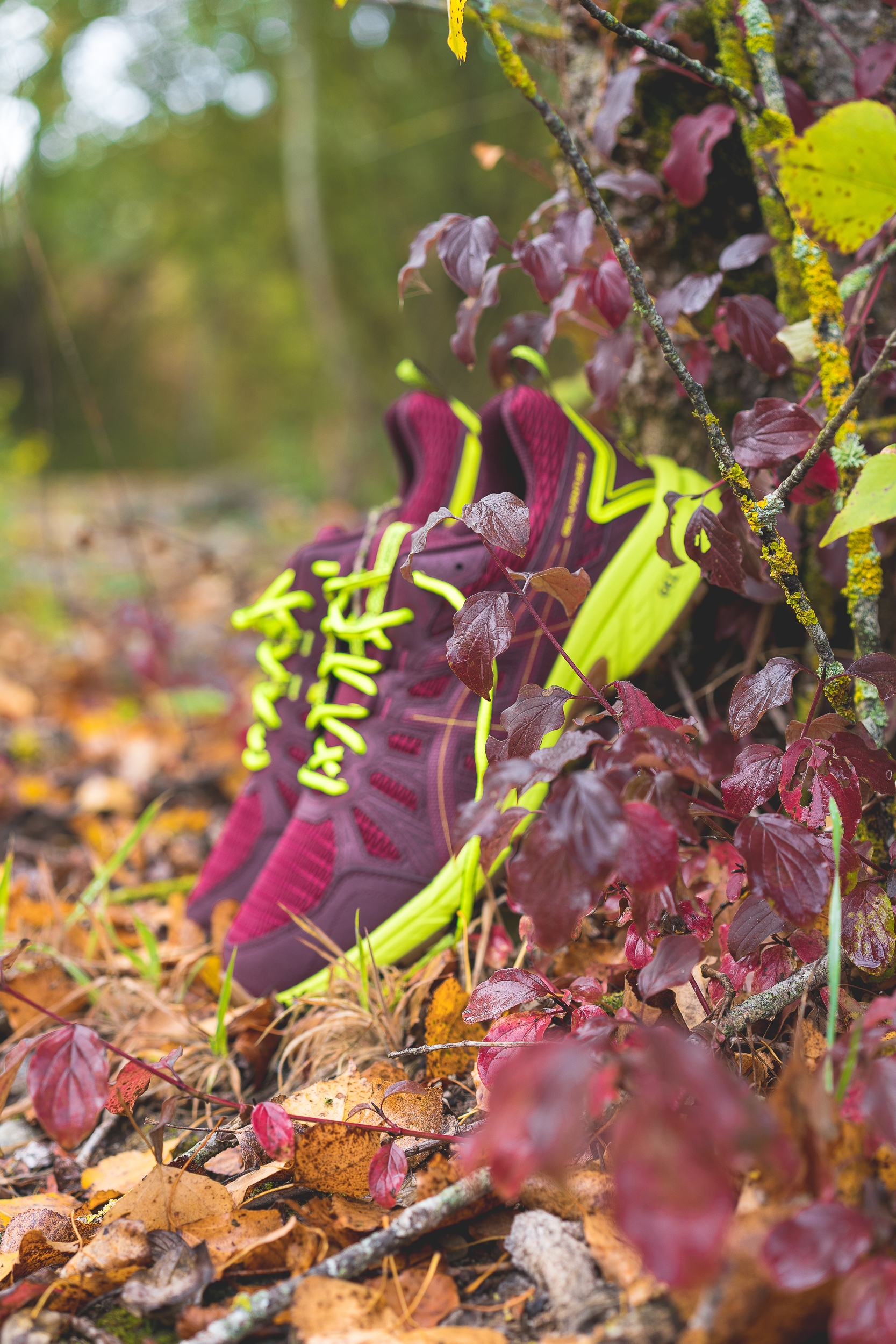 ASICS GEL-VENTURE 7 « MISSION » – SIZE EXCLUSIVE, photo 7