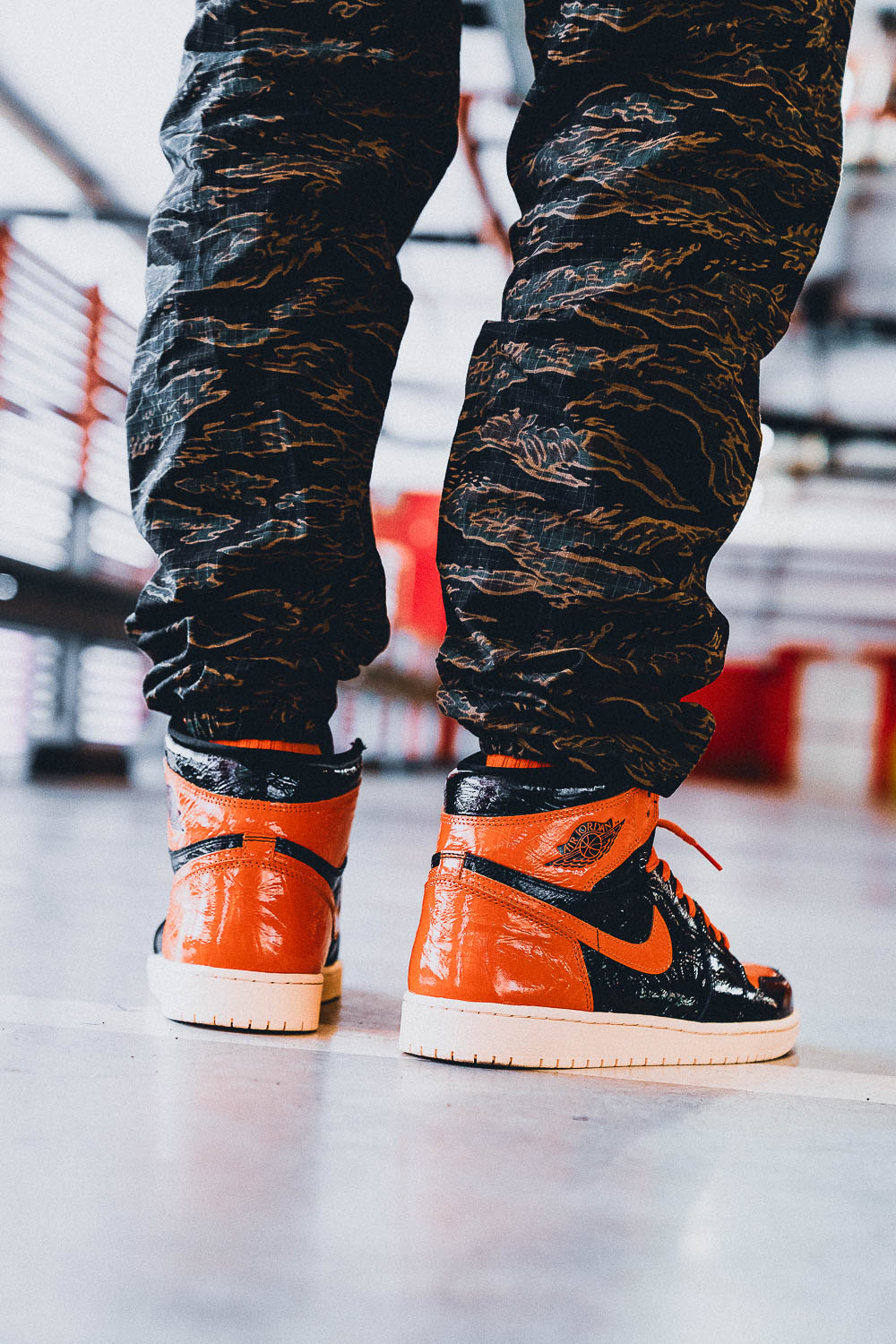 AIR JORDAN 1 SHATTERED BACKBOARD 3.0, photo 19
