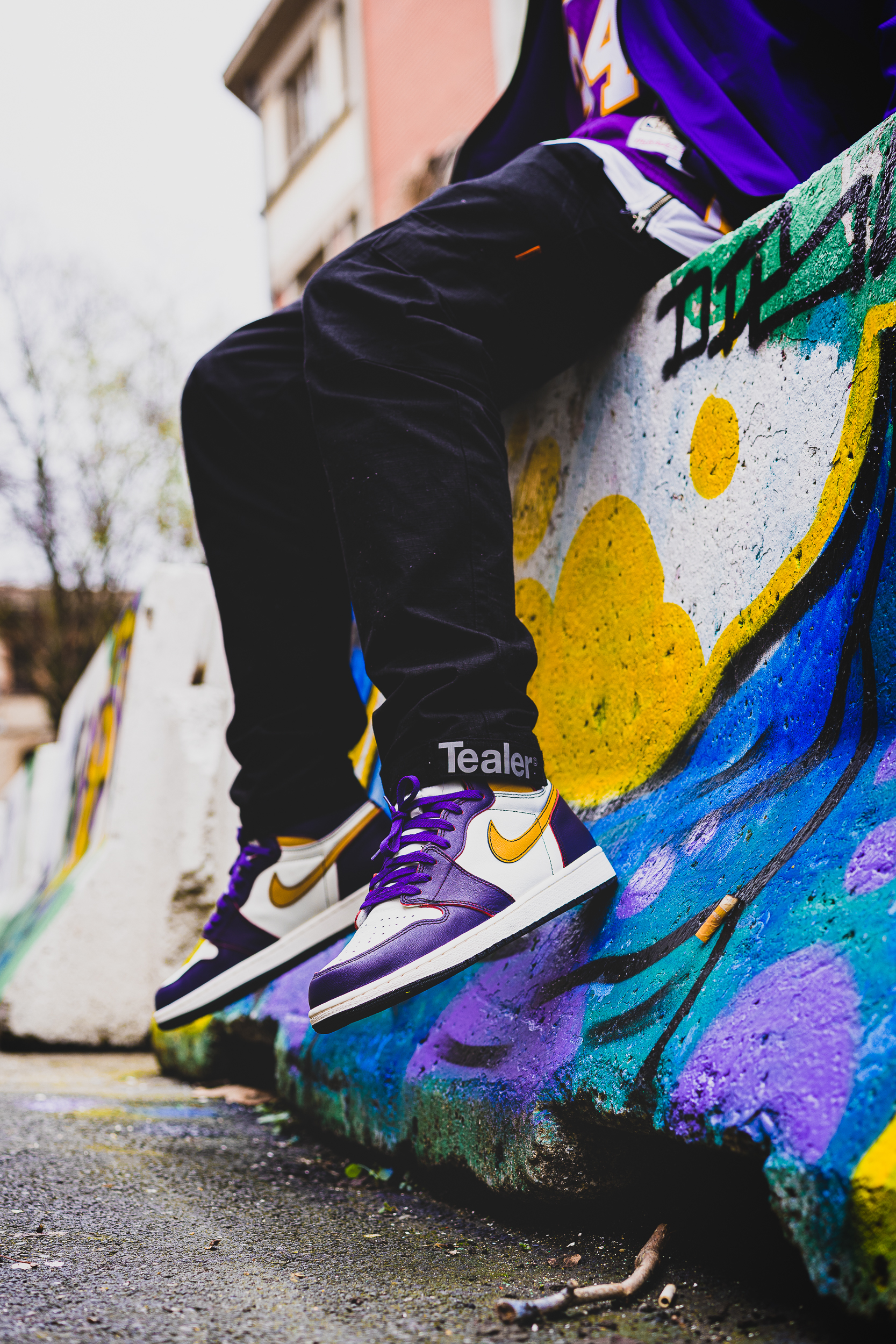 AIR JORDAN 1 X NIKE SB « LOS ANGELES TO CHICAGO »