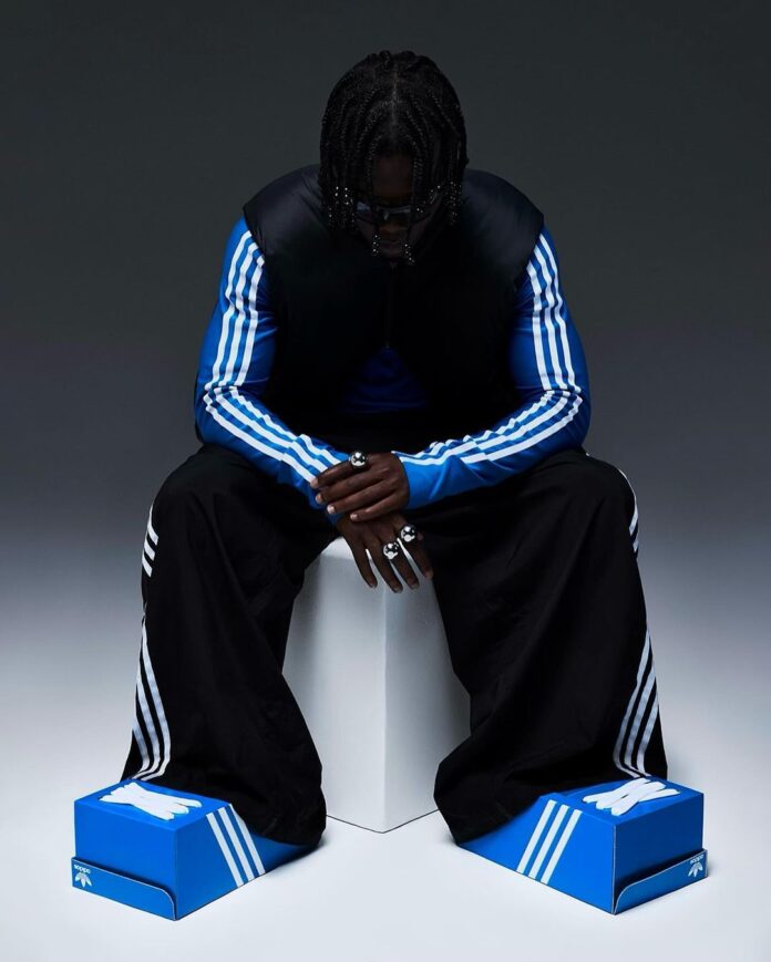 adidas Shoe Box is for customized Gab Bois shoe cabinet