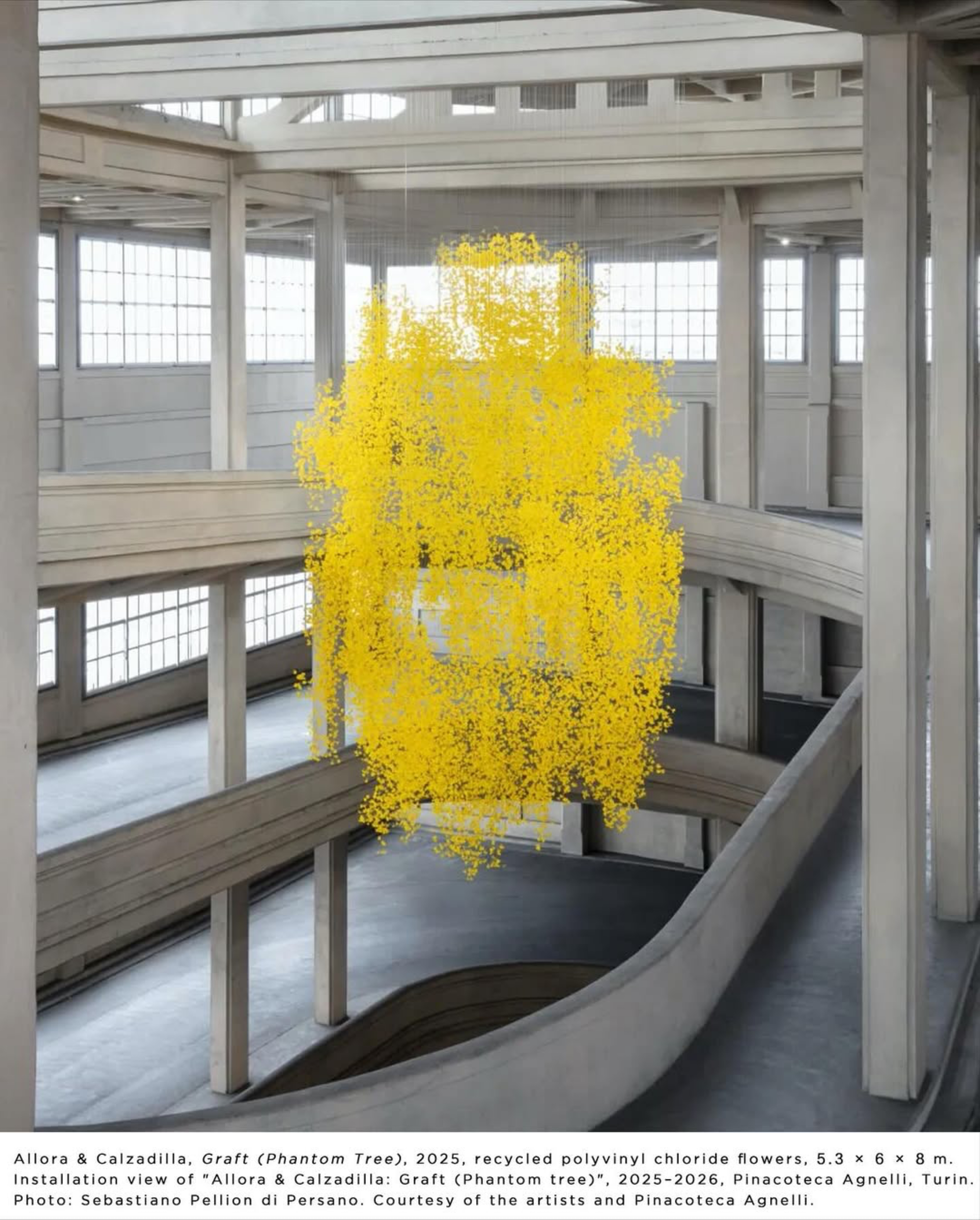 La 15ᵉ Biennale de Shanghai interroge le dialogue entre humains et nature : “Does the flower hear the bee?” ouvre le 8 novembre 2025, photo 4