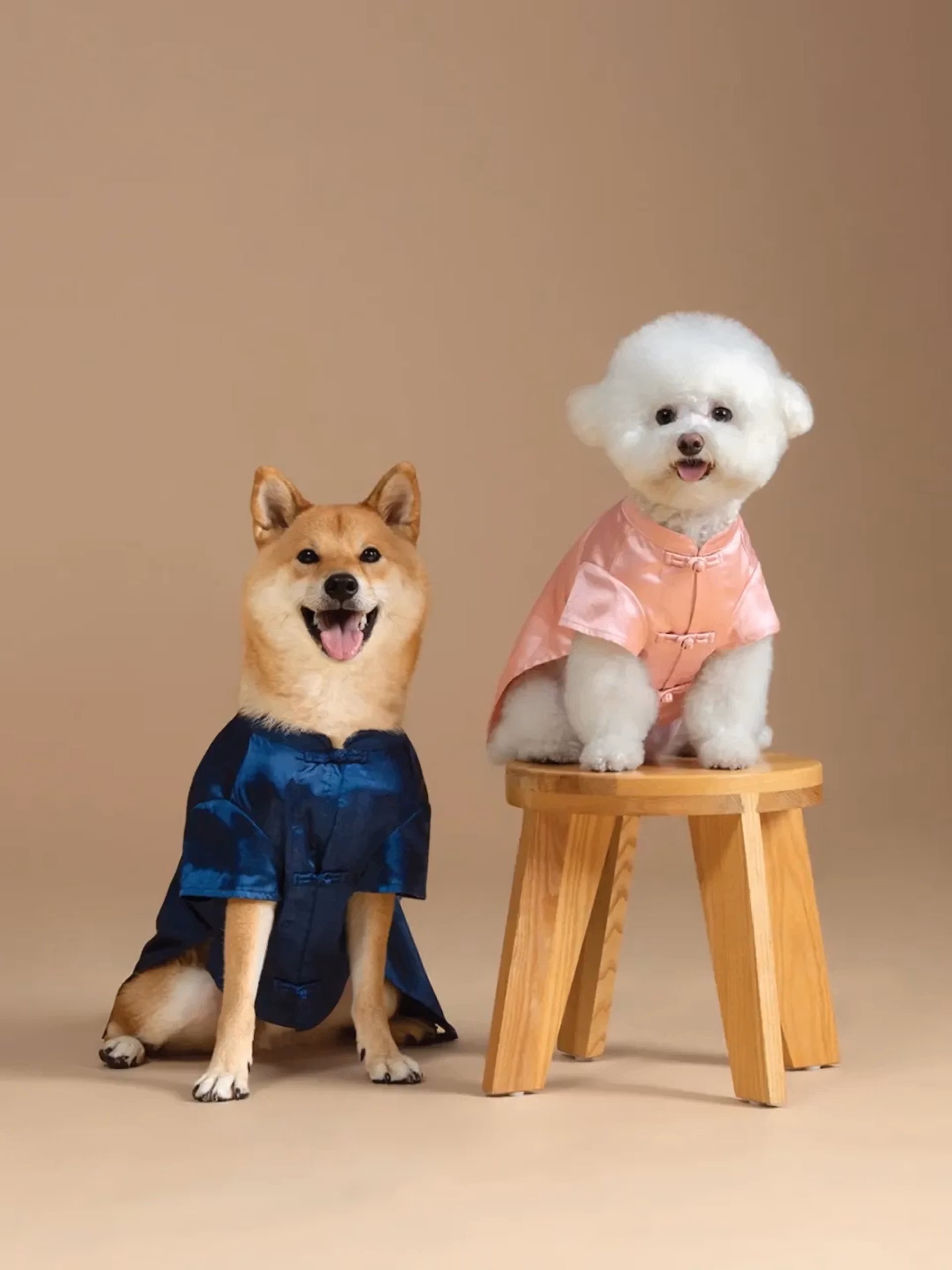 CLOT lance la “Silk Royale Pet Collection” — une ligne luxueuse dédiée aux compagnons à quatre pattes
