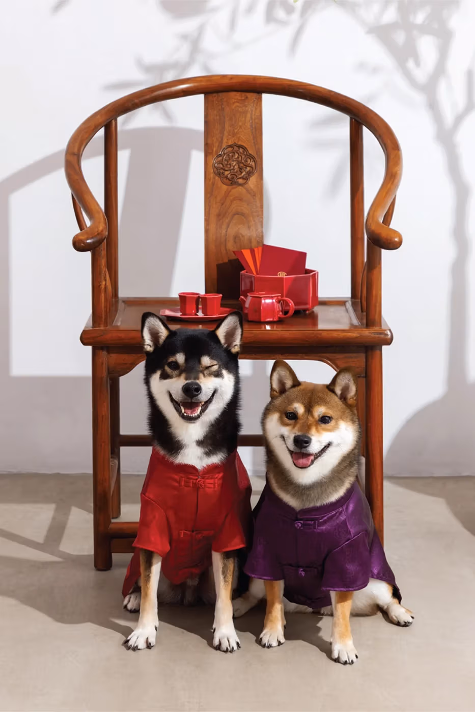 CLOT dévoile sa Lunar New Year Pet Collection, une ligne festive dédiée aux compagnons à quatre pattes