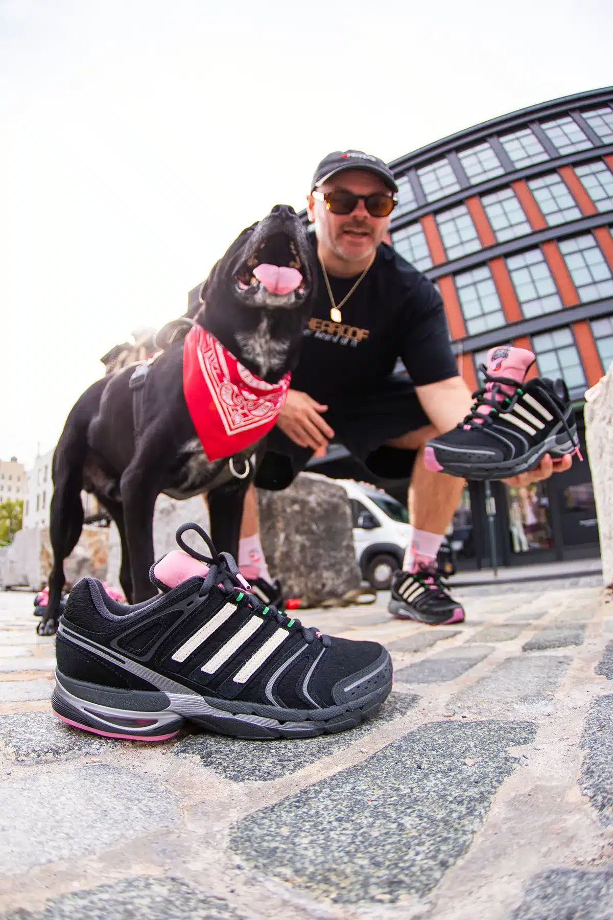 UNheardof x adidas AdiStar Control 5 « Doggy Runner » : une sneaker inspirée par Otto, le chien de Philip Lipschutz, photo 2